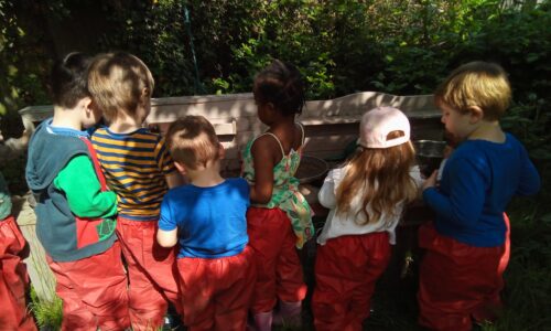 Forestschool
